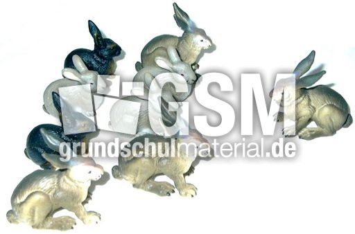 Hasen8+1.jpg